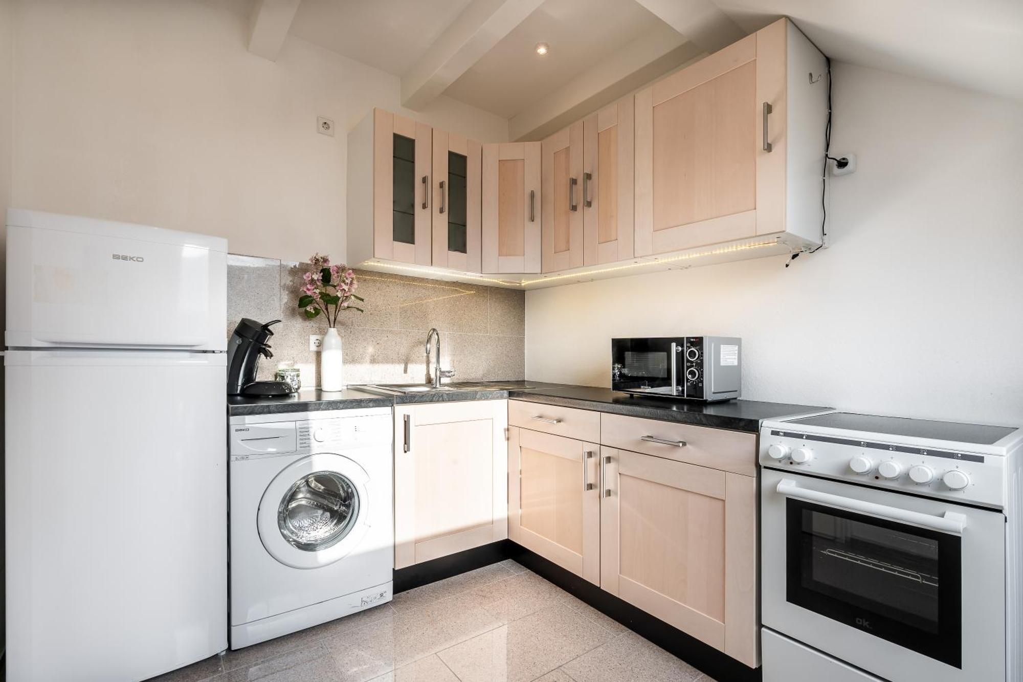 Wohnen Auf Zeit - Innenstadt-Appartements Freiburg im Breisgau Kamer foto
